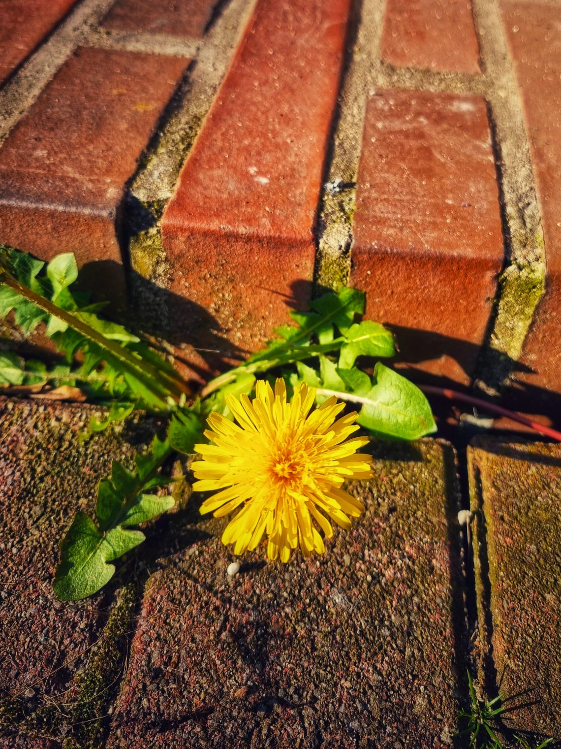 Digitale Transformation